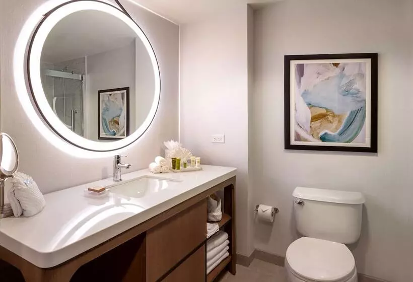Standard-huone Parivuode, Hilton Dallas/southlake Town Square