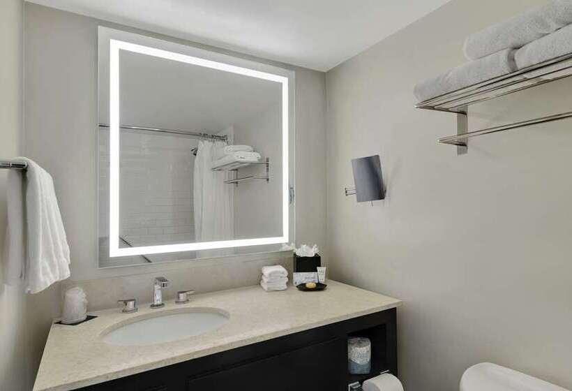 스탠다드 룸 킹사이즈 침대, Hilton Dallas/southlake Town Square