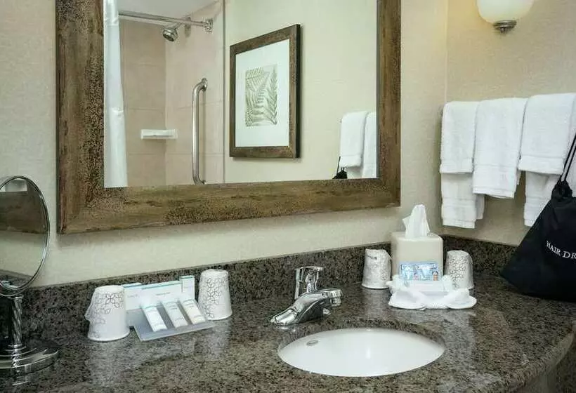 Standard-huone King-vuode, Hilton Dallas/southlake Town Square