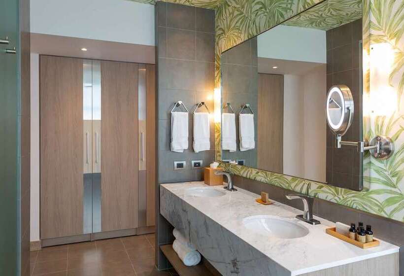 스위트 킹사이즈 침대, Hilton Dallas/southlake Town Square