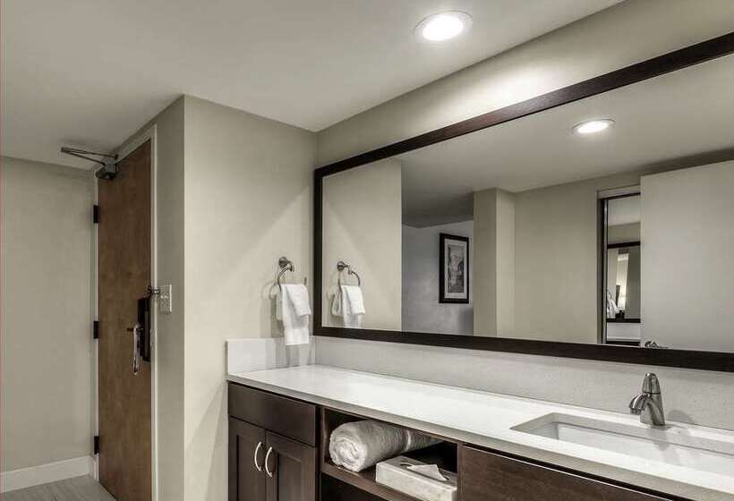 스탠다드 룸 킹사이즈 침대, Hilton Dallas/southlake Town Square