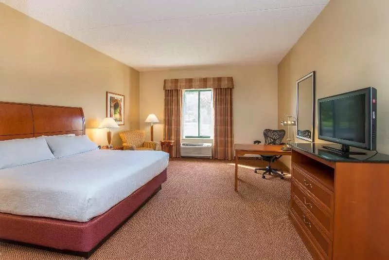 キングサイズベッドのスタンダードルーム, Hilton Garden Inn Fishkill