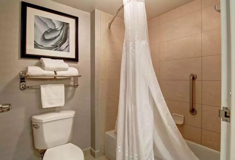 スイート, Homewood Suites By Hilton Bentonvillerogers