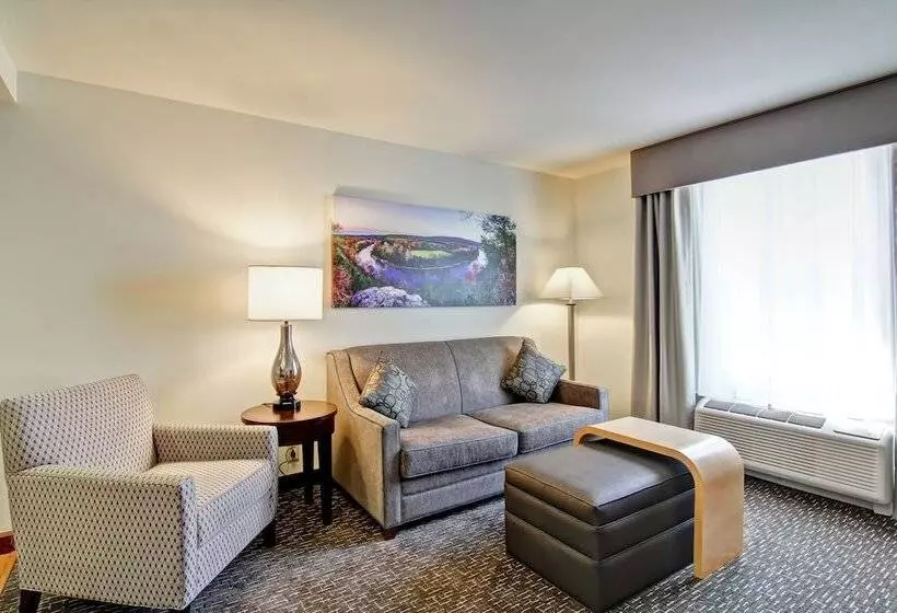スイート, Homewood Suites By Hilton Bentonvillerogers