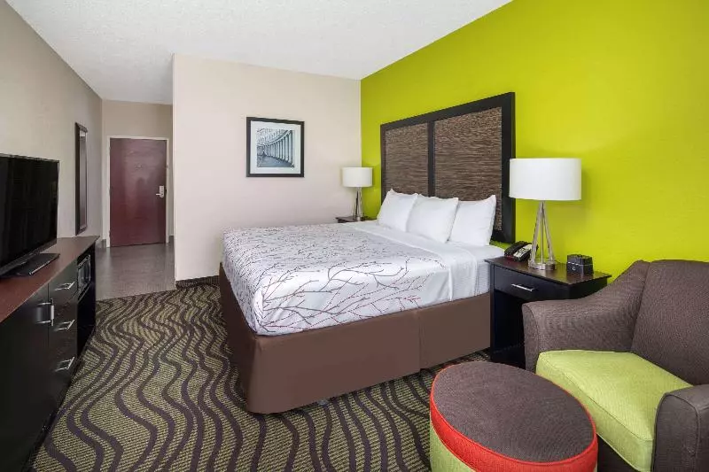 キングサイズベッドのスタンダードルーム, La Quinta Inn By Wyndham Calhoun South I75
