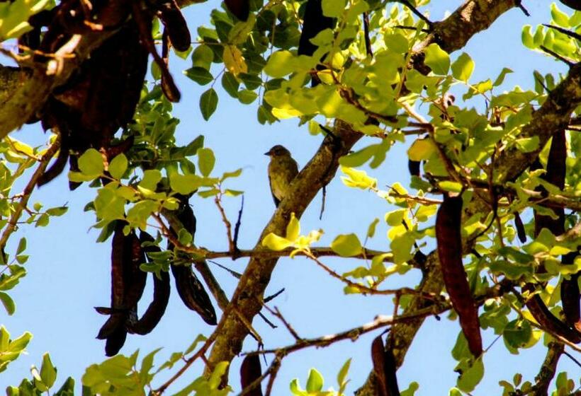 منزل غرفة نوم واحدة, Casas Rurales Los Algarrobales