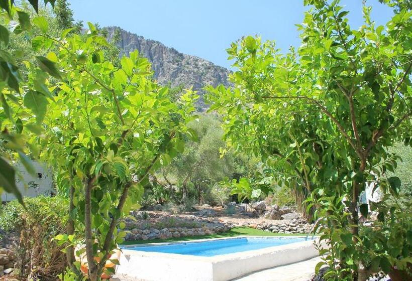 منزل غرفة نوم واحدة, Casas Rurales Los Algarrobales