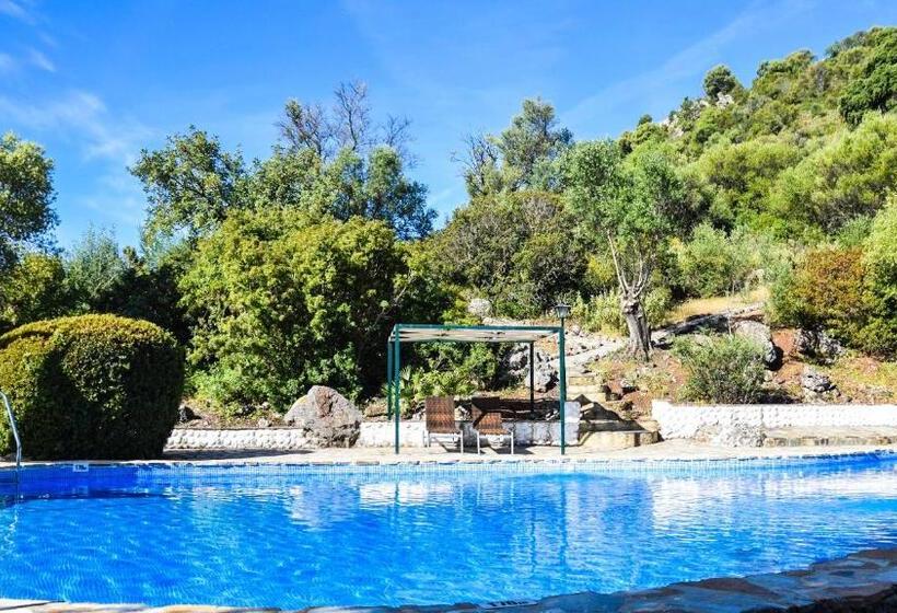 غرفة قياسية, Casas Rurales Los Algarrobales