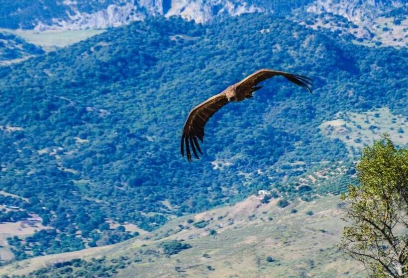 غرفة قياسية, Casas Rurales Los Algarrobales