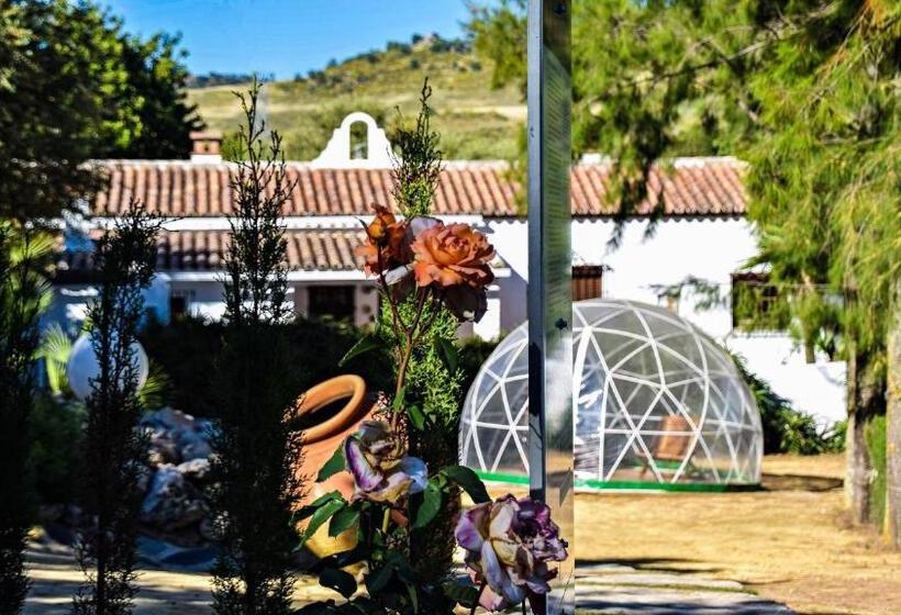 منزل غرفتين نوم, Casas Rurales Los Algarrobales