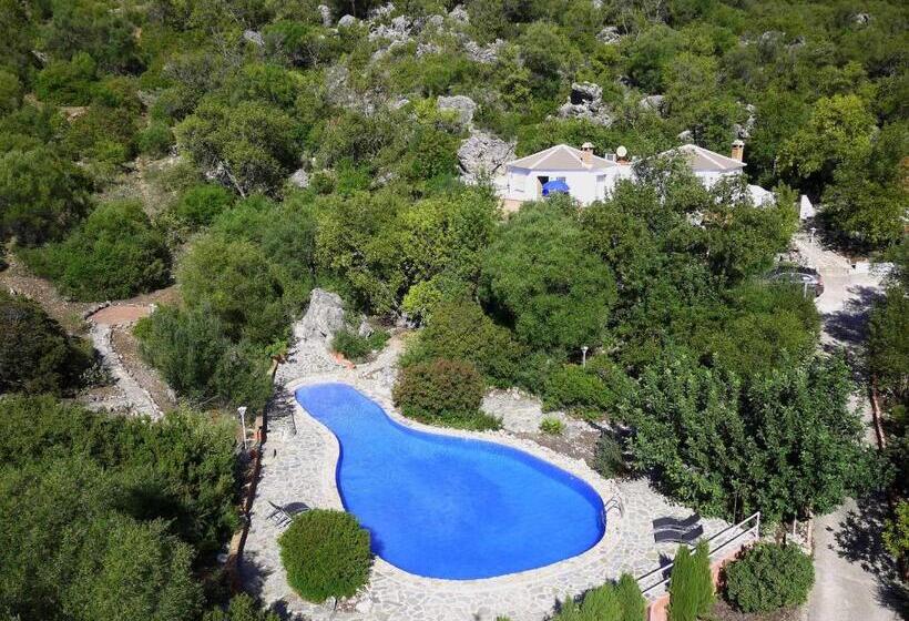 غرفة قياسية, Casas Rurales Los Algarrobales