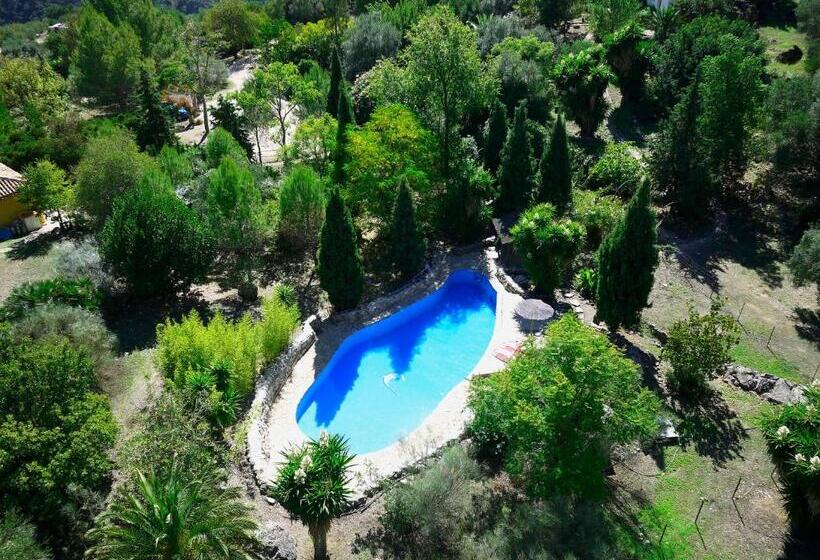 带5个卧室的别墅, Casas Rurales Los Algarrobales