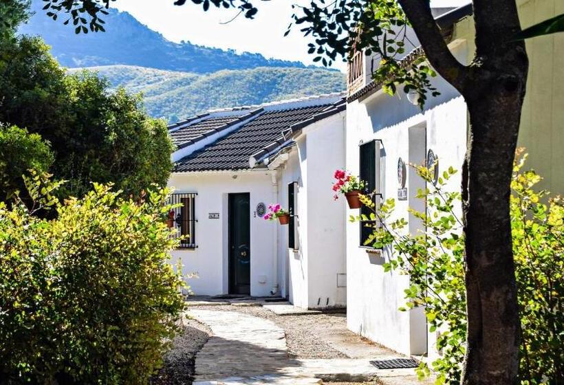 إستوديو قياسى ذو إطلالة, Casas Rurales Los Algarrobales