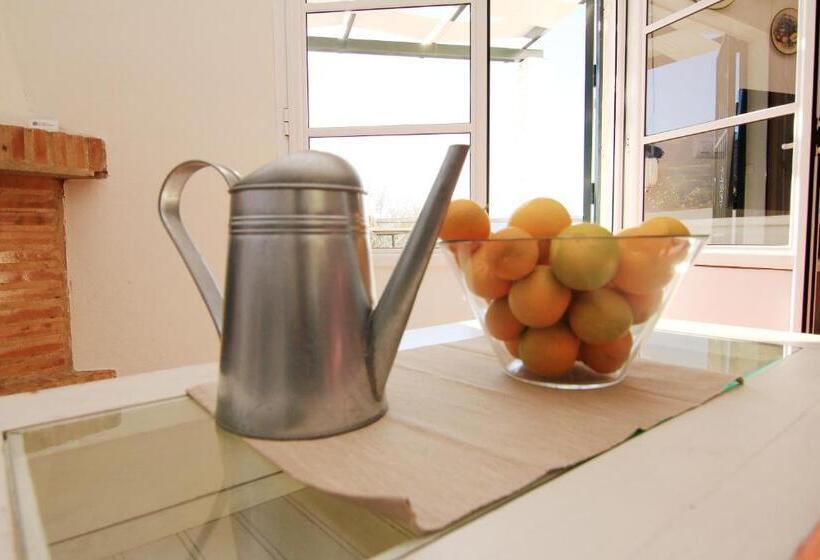 غرفة قياسية, Casas Rurales Los Algarrobales