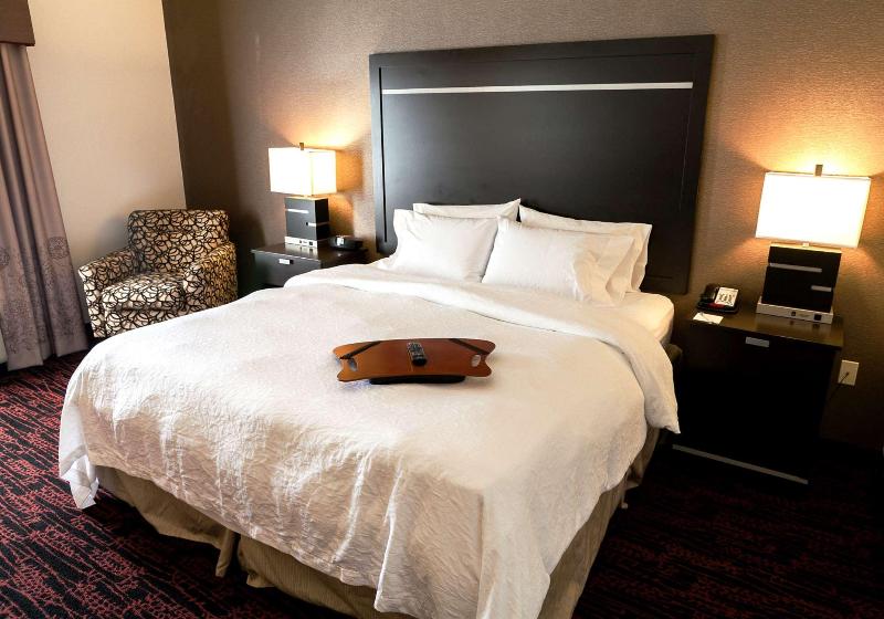 Стандартный Номер Кровать Кинг, Hampton Inn & Suites Tulsa/tulsa Hills