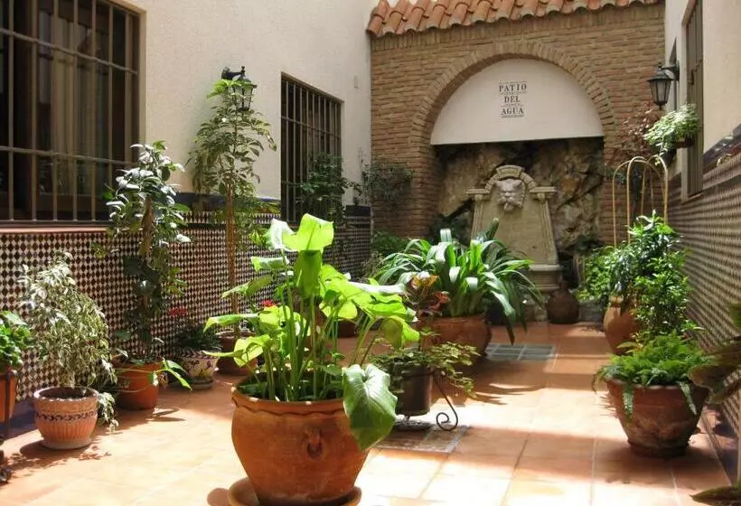 スタンダードシングルルーム, Hostal Palomares