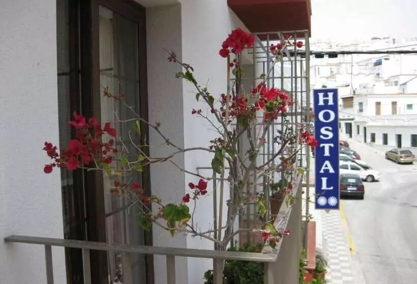スタンダードルーム, Hostal Palomares