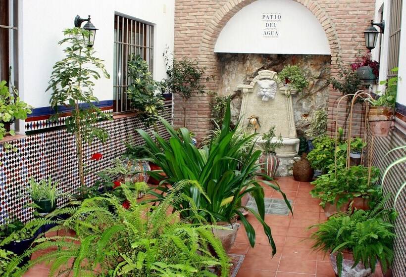 スタンダードルーム, Hostal Palomares