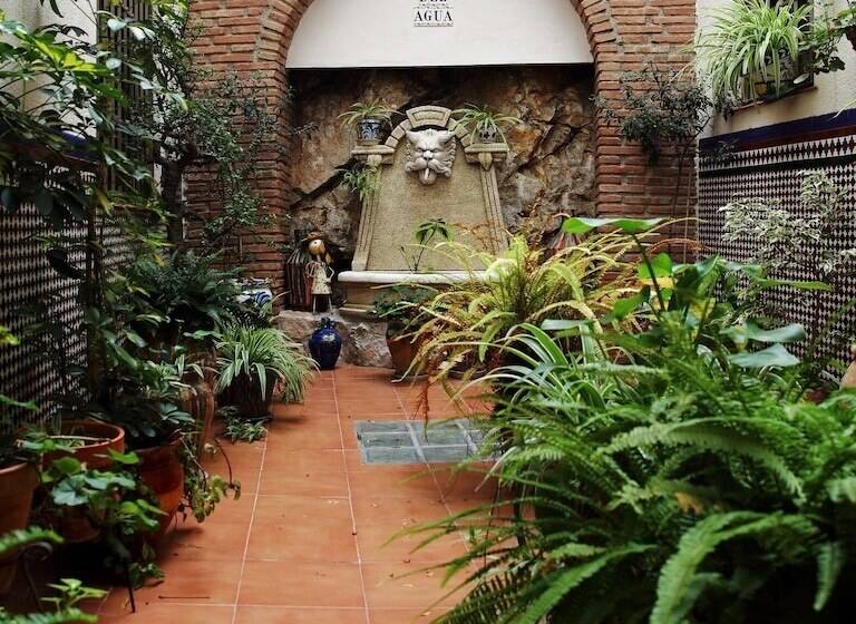 スタンダードトリプルルーム, Hostal Palomares