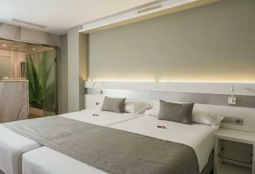 اتاق استاندارد اینتریور, Aloe Canteras