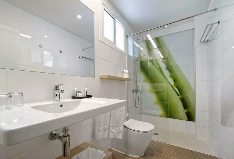 اتاق استاندارد اینتریور, Aloe Canteras