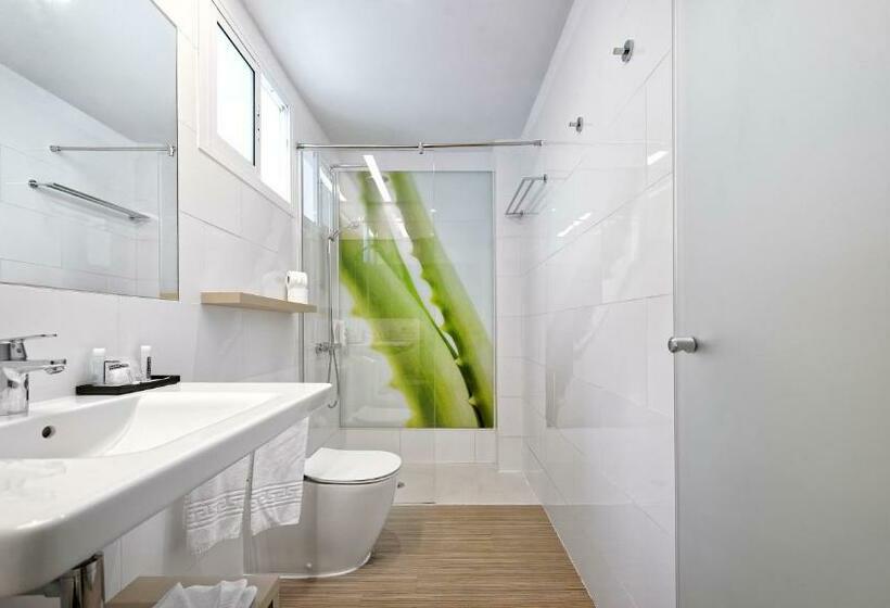 Номер Стандарт Внутренний, Aloe Canteras