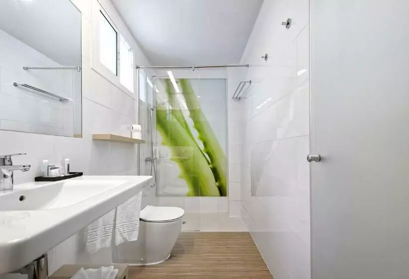 اتاق استاندارد اینتریور, Aloe Canteras