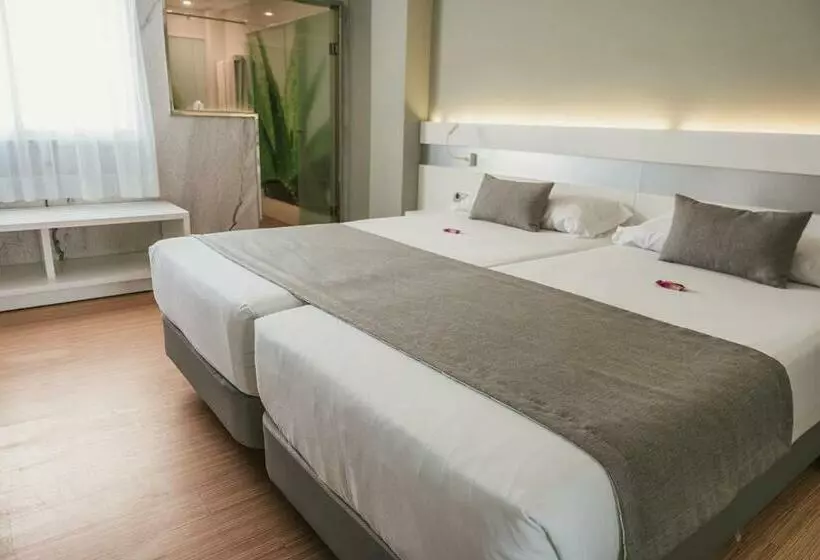 اتاق استاندارد اینتریور, Aloe Canteras