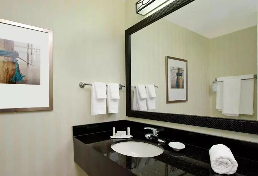 キングサイズベッドのスタンダードルーム, Fairfield Inn & Suites Fort Lauderdale Airport & Cruise Port