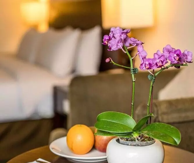 اتاق استاندارد, Fullon Hotel Jhongli