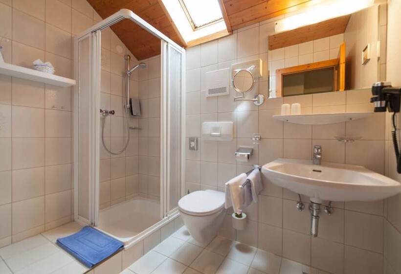 غرفة قياسية سرير مزدوج, Garten   Hotel Sallerhof