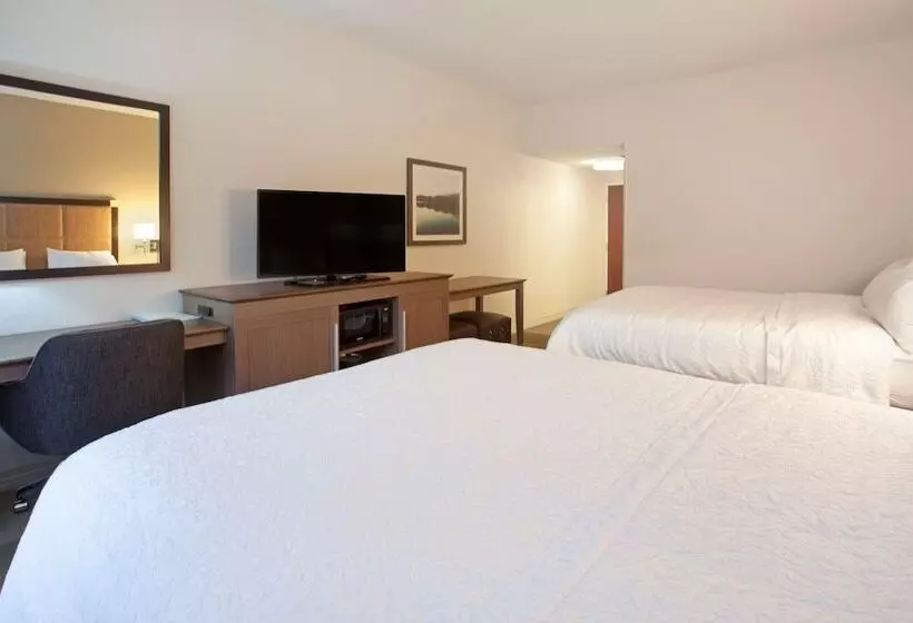 スタンダードルーム, Hampton Inn & Suites Nashville Smyrna