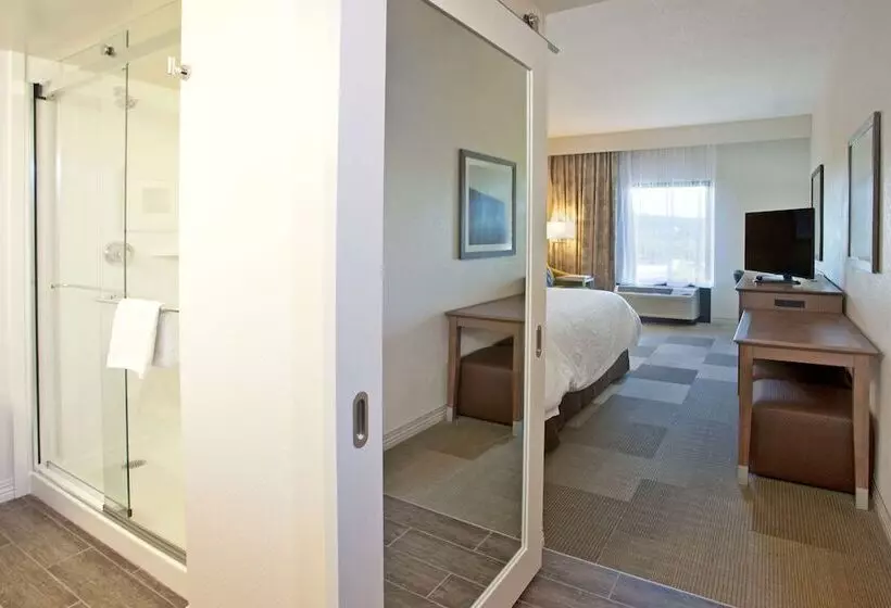 スタンダードルーム, Hampton Inn & Suites Nashville Smyrna