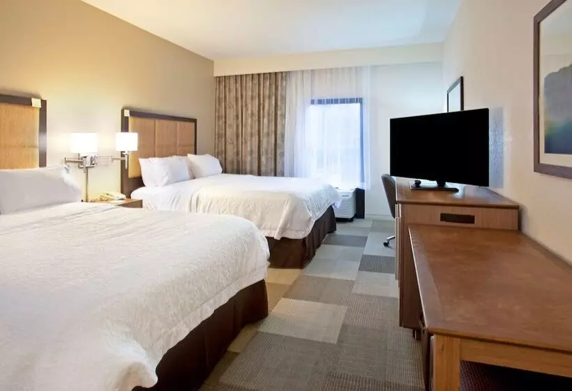 スタンダードルーム, Hampton Inn & Suites Nashville Smyrna