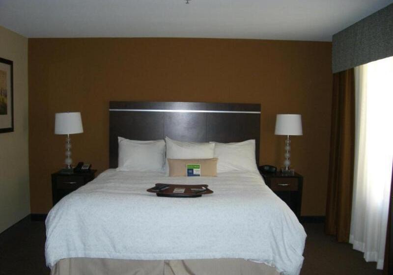 غرفة قياسية سرير كينج, Hampton Inn & Suites Pueblo/north