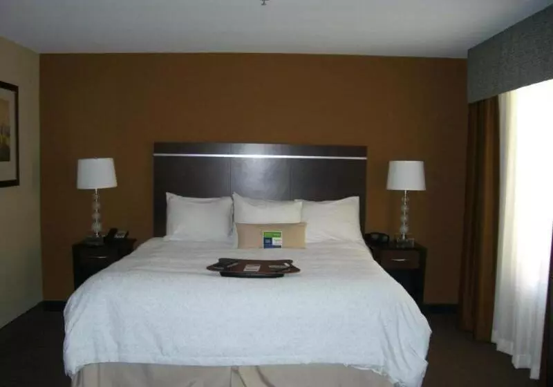 キングサイズベッドのスタンダードルーム, Hampton Inn & Suites Pueblo/north