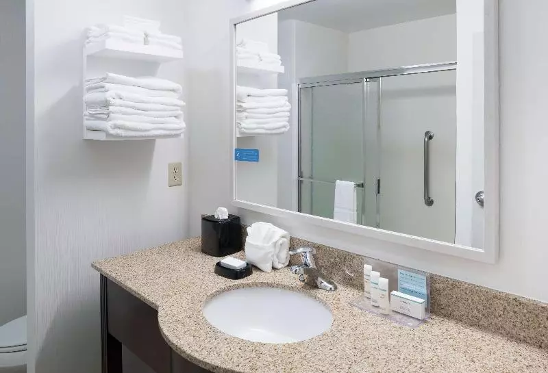 اتاق استاندارد با تخت بزرگ, Hampton Inn & Suites Rochester North