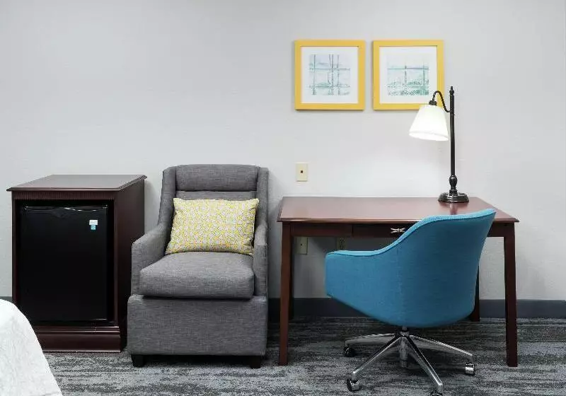اتاق استاندارد با تخت بزرگ, Hampton Inn & Suites Rochester North