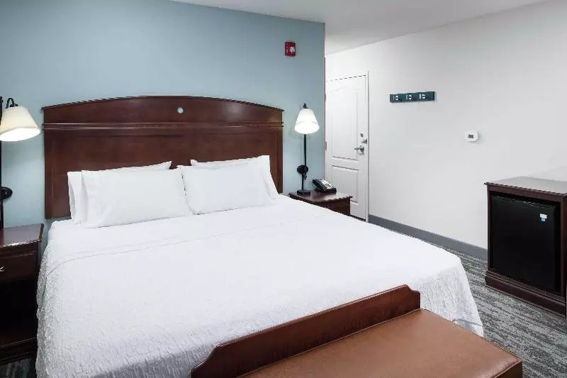 اتاق استاندارد با تخت بزرگ, Hampton Inn & Suites Rochester North