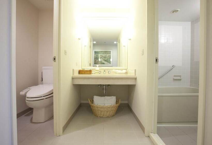 غرفة ديلوكس, Mystays Premier Sapporo Park