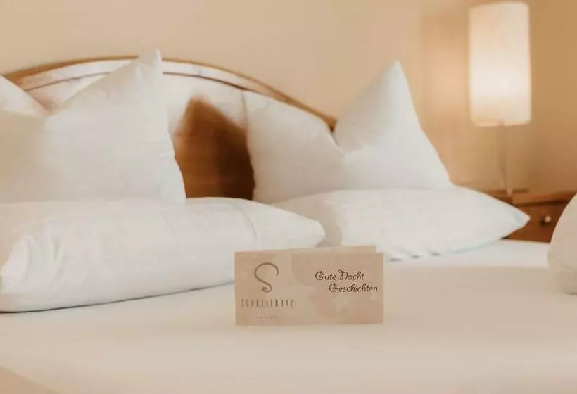 Classic-huone, Landhotel Schütterbad
