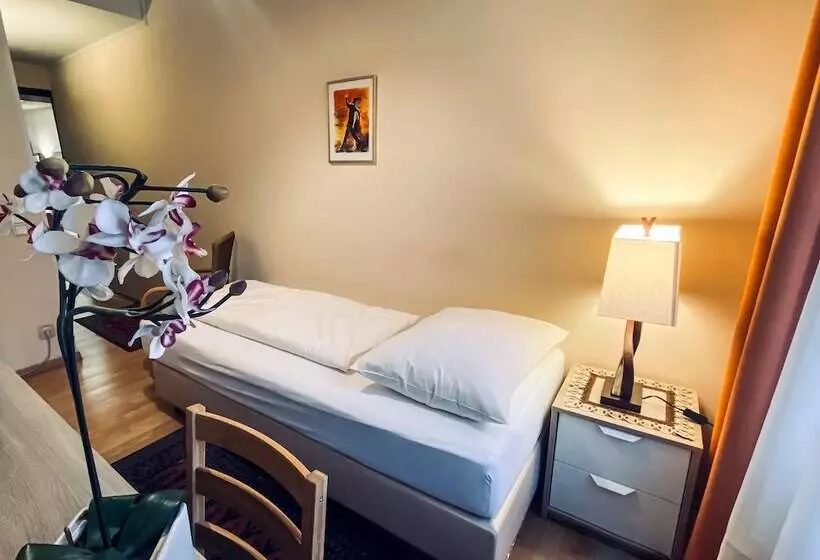اتاق استاندارد یک نفره, Pension Hotel Mariahilf