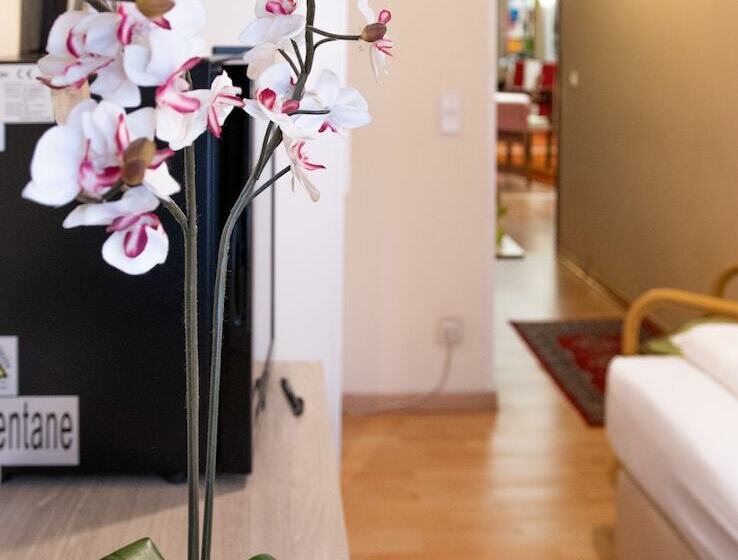 اتاق استاندارد یک نفره, Pension Hotel Mariahilf