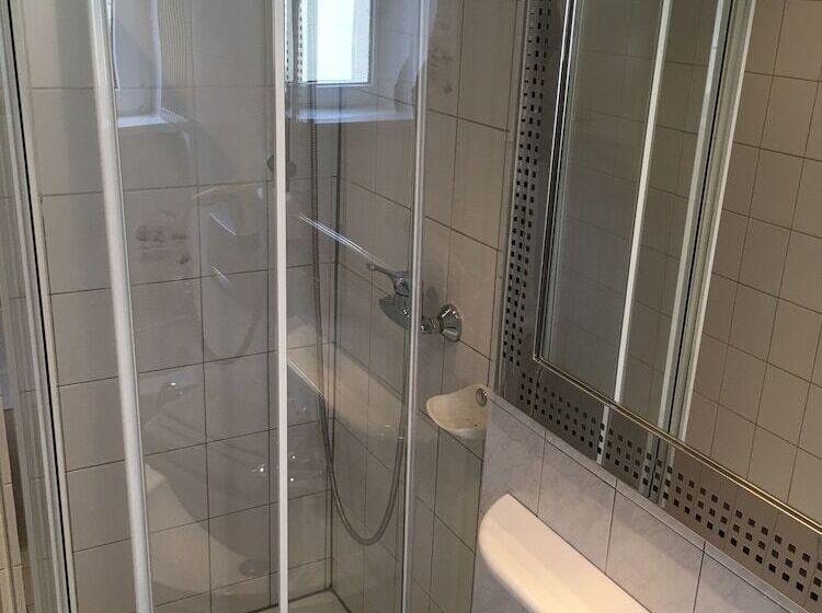 标准间, Pension Wegerich