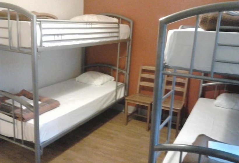 Bed in Shared Room, Hostel Louise