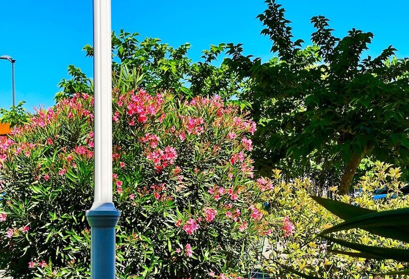 스탠다드 룸, California