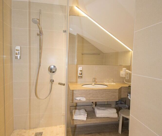 스탠다드 싱글 룸, Dollinger