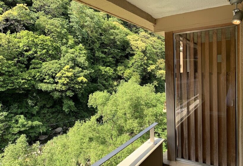 Номер Стандарт, Hakone Pax Yoshino