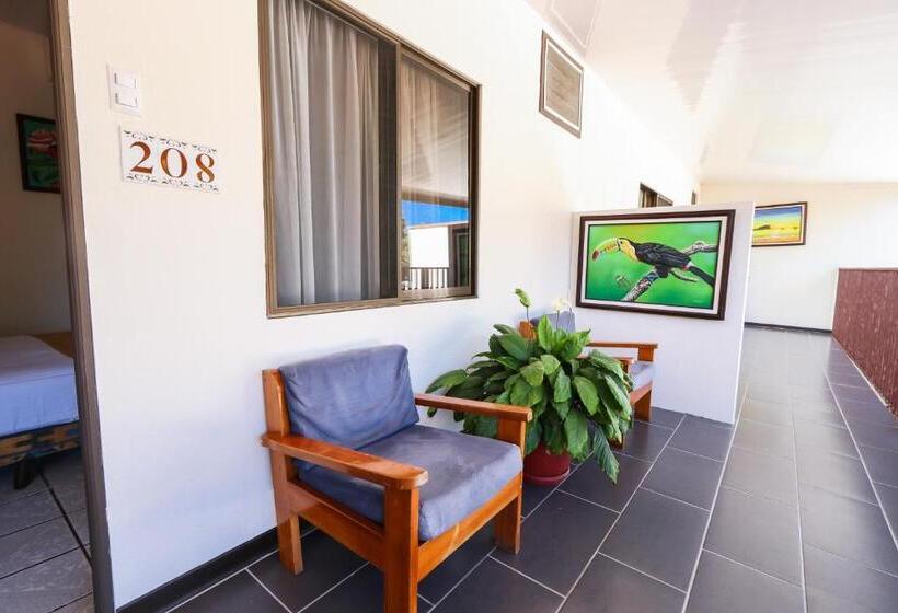 スタンダードルーム, Flor Blanca