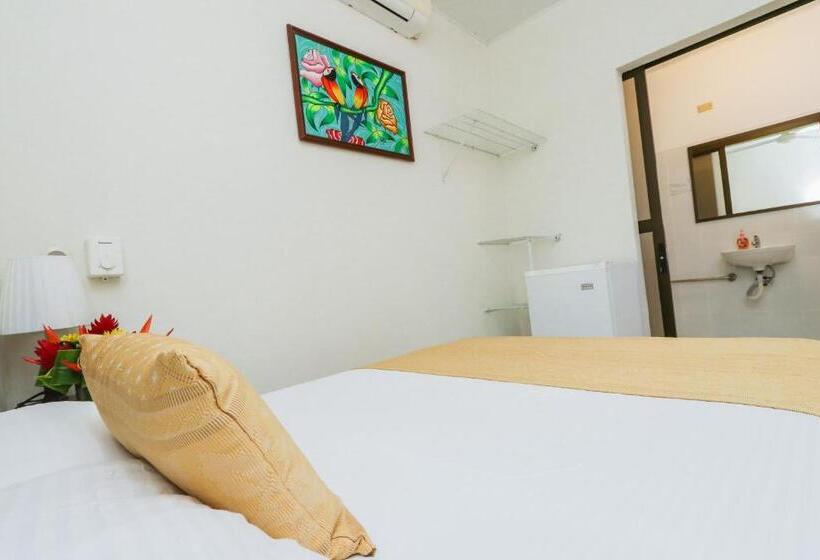 スタンダードルーム, Flor Blanca